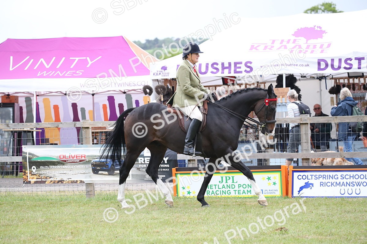 SBM_11385 - Class 94 - LIHS BSHA Racehorse to Showhorse