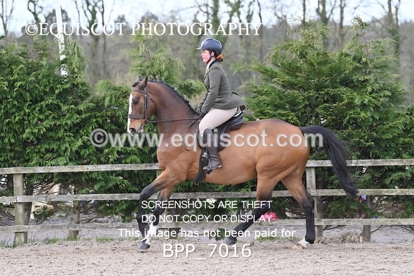BPP_7016 - RING 1  (RIDDEN HORSES / IN HAND / VETERAN ETC)