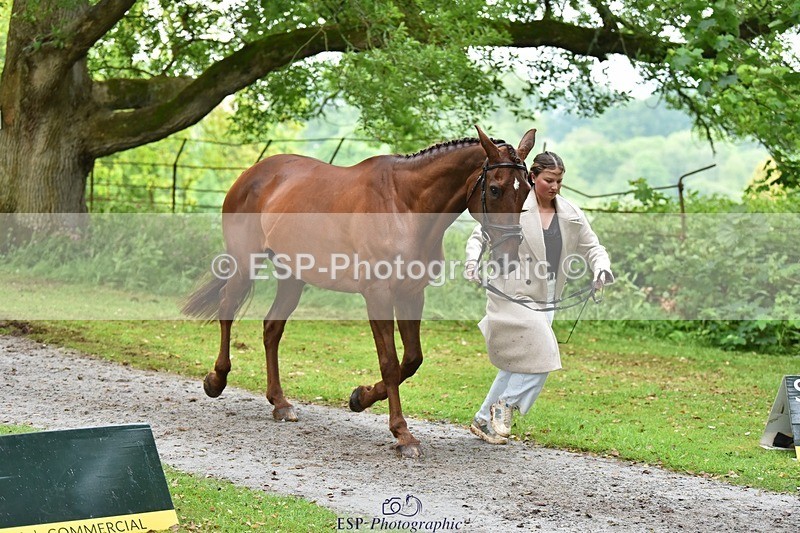 240522-172404-01577 - 279-MHF_LADY-Poppy_von_Maltzahn