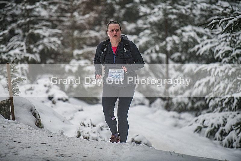 Glentress-919 - High Terrain Events Glentress 42, 21 & 10K Trail Races Sunday 15th February 2026