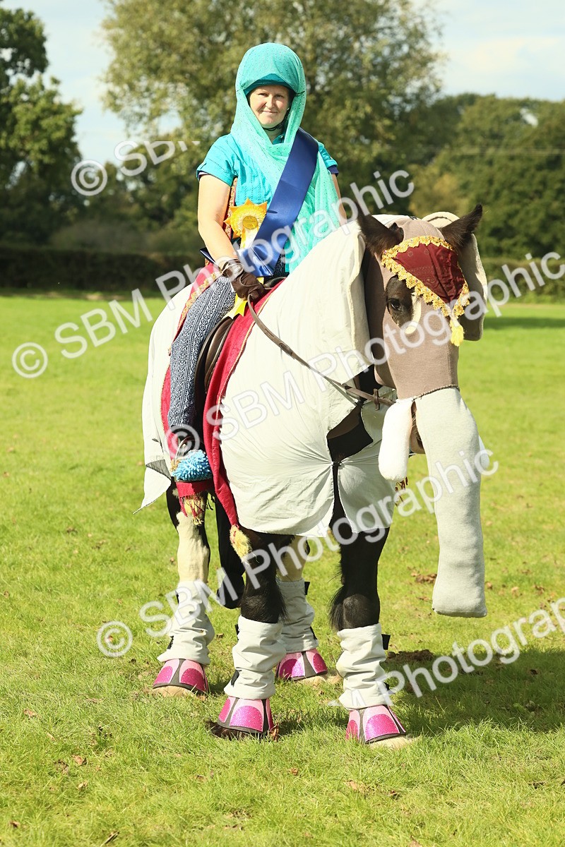 SBM_63663 - S35 - Fancy Dress Showing