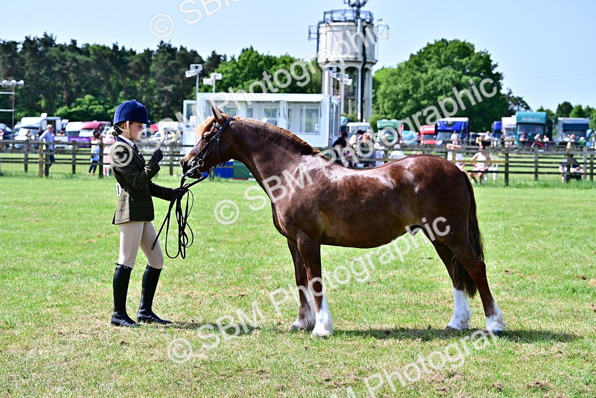 SBM_03875 - Class 58 - TSR  Ridden Veteran Amateur of the year