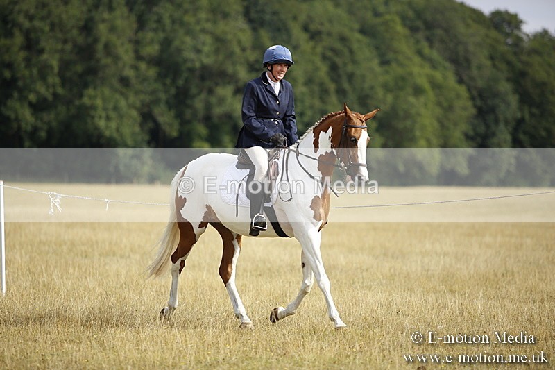 _C7A9266 - BVRC Show 2018 Ring 1