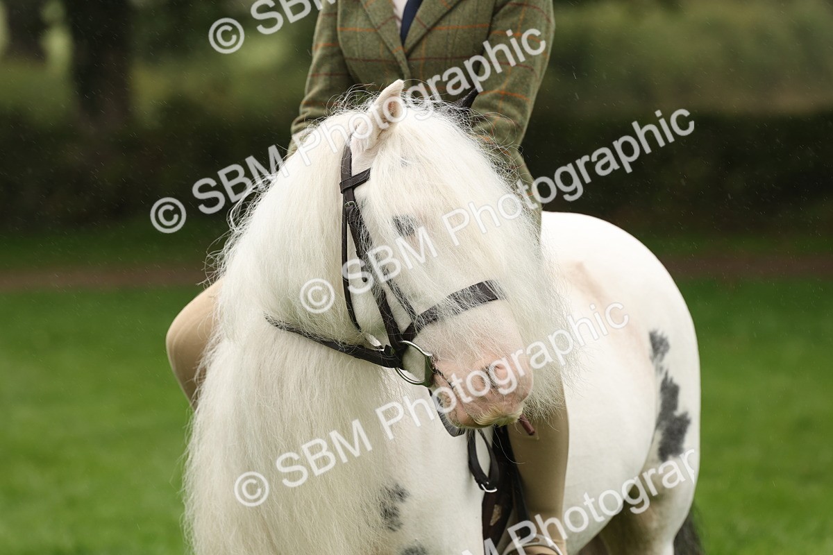 SBM_72786 - S70 - Traditional Cob Ridden