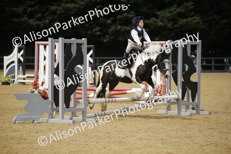 20250622-4632 - 50cm