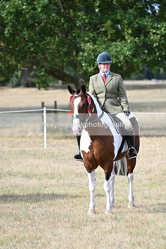 WJ7_7850 - Ridden Championship