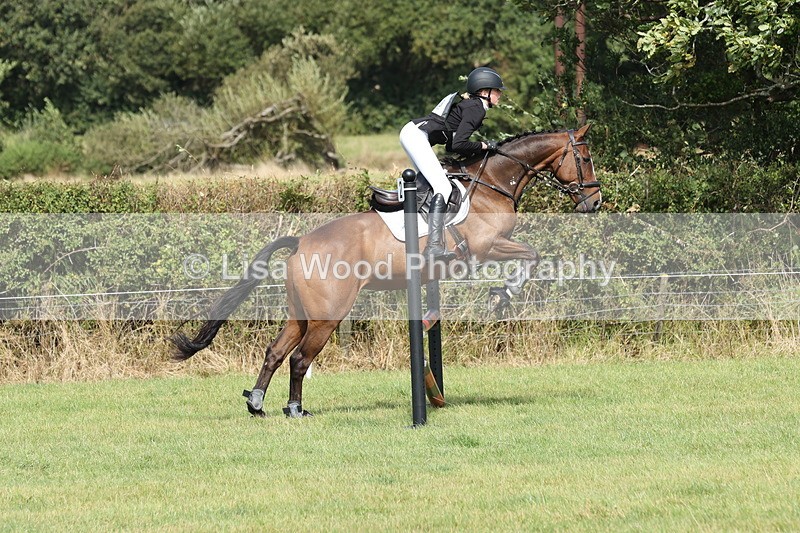 JPP_8843 - Class 2: Trekenning: 80cm Showjumping