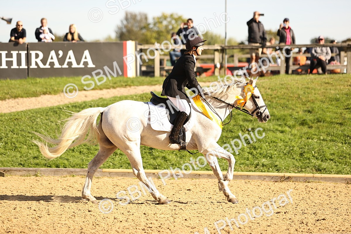 SBM_35248 - J38 - Senior 80cm Championship
