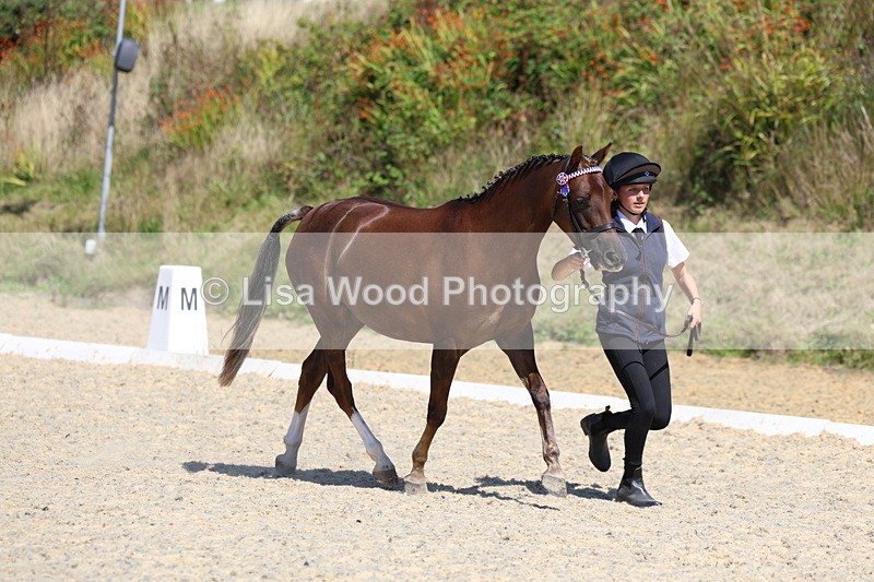 3E7A9697 - Class 32: Best Grass Kept