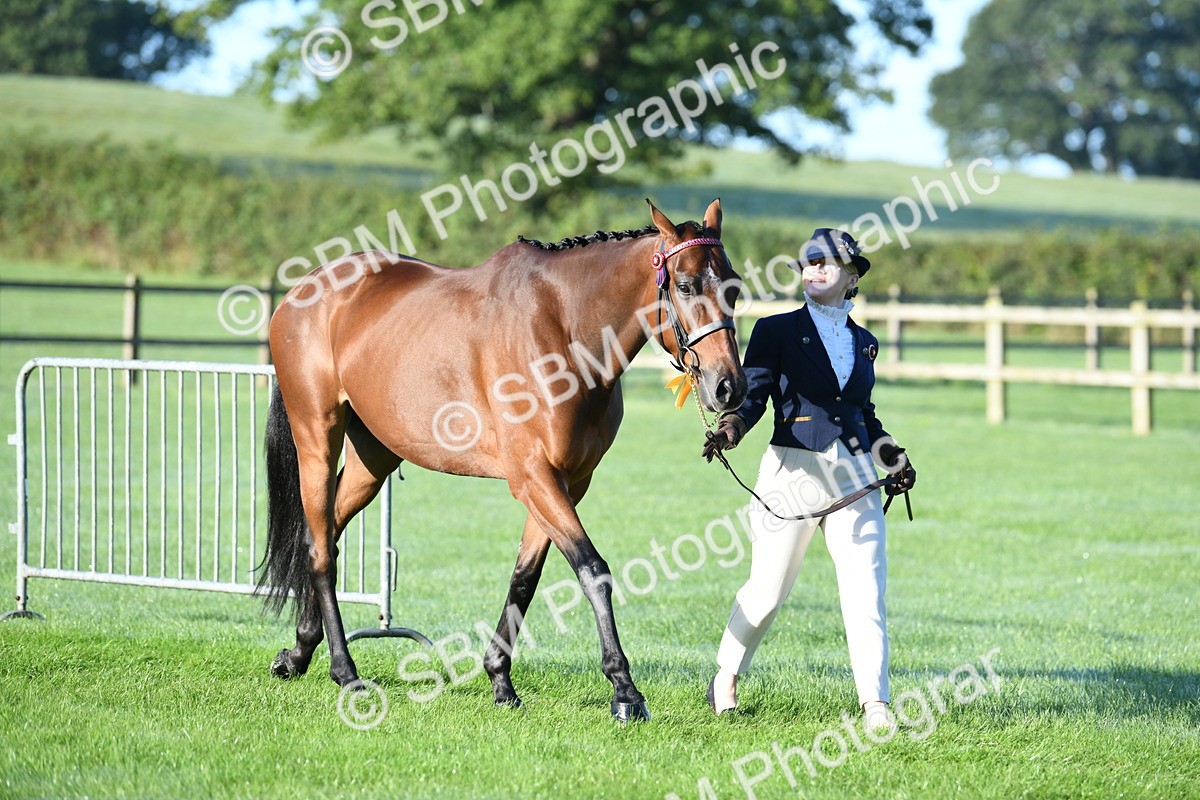SBM_32878 - S15 - Condition & Turnout In Hand