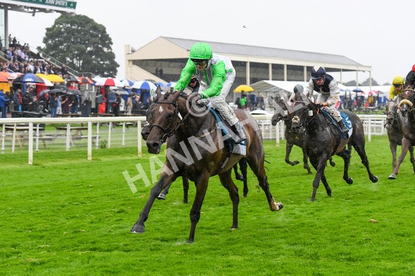 140723-Race 7-Gibside-0734 - Race 7 5.30pm William Hill Extra Place Races Daily Apprentice Handicap