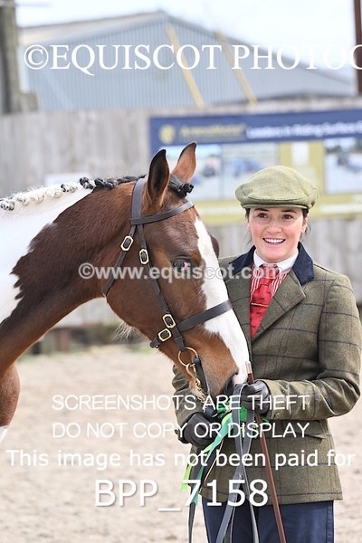 BPP_7158 - RING 1  (RIDDEN HORSES / IN HAND / VETERAN ETC)