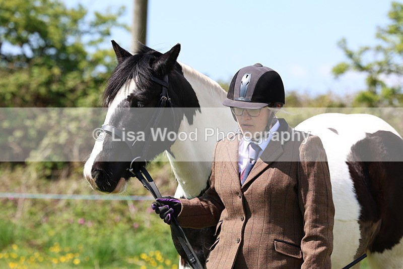 3E7A0324 - Class 19: Best Coloured in Hand