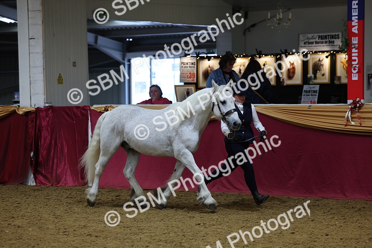 SBM_22774 - Class 903 - Supreme Final - IH Pre Vet