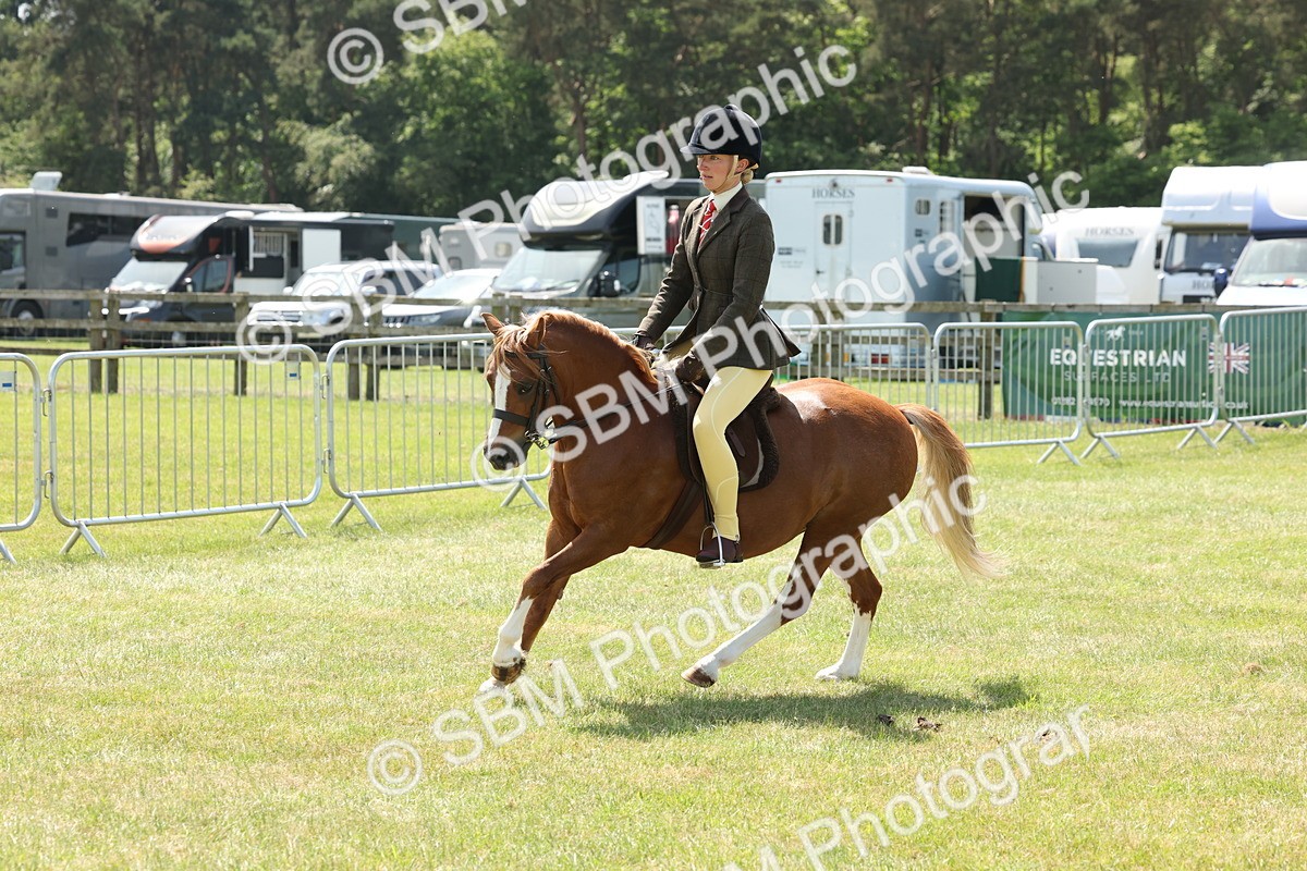 SBM_06760 - Class 26-30 - Mountain and Moorland Ridden