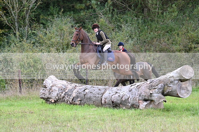 WJ7_3975 - Camera 1 Line 1