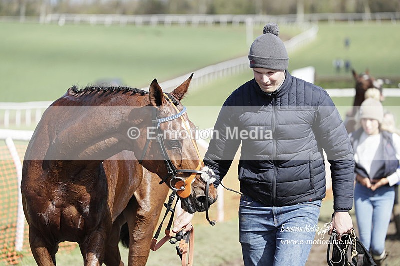 PtP 100423 673 - Old Berkshire Point-to-Point Lockinge 10/04/23