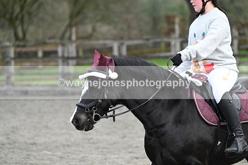 WJ7_4702 - Time 11:20 to 11:32