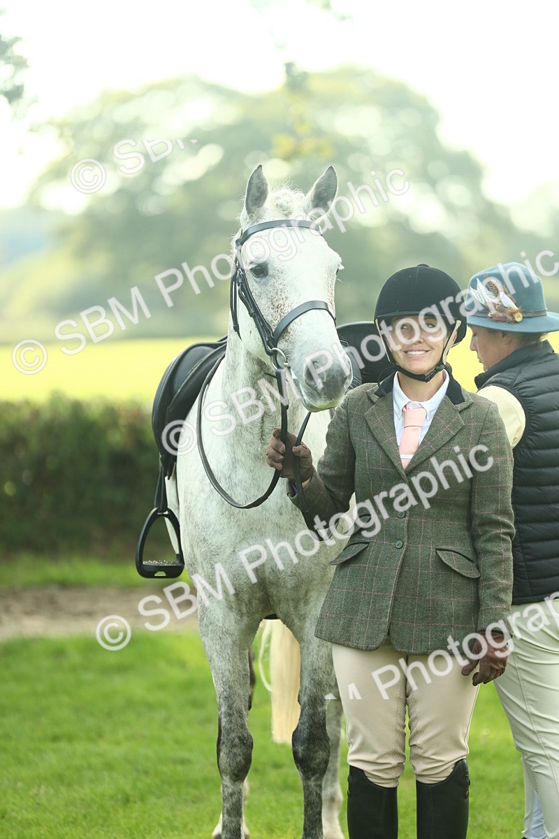 SBM_52148 - S33 - Working Hunter & Working Show Horse