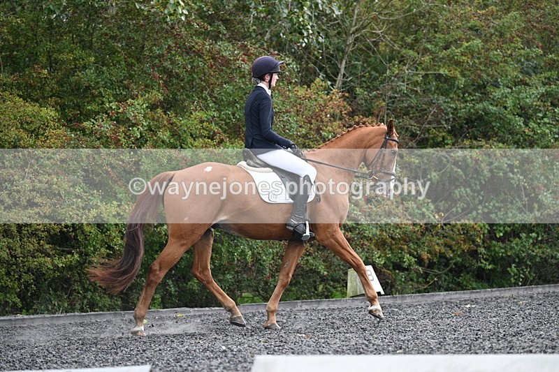 WJ7_6758 - Time 14:49 to 15:14