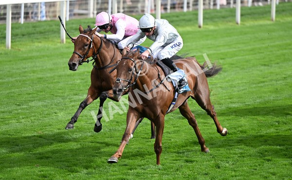 210825-179 Charlottes Web - Race 5 4.10pm British EBF & Sir Henry Cecil Galtres Stakes