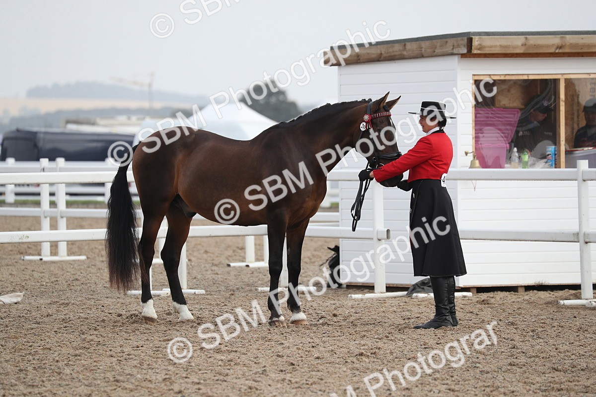 SBM_23061 - Class 605 - 2025 Area - IH Veteran