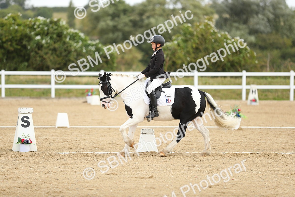 SBM_016343 - Class 13 - Novice 23 - 11.25-12.35