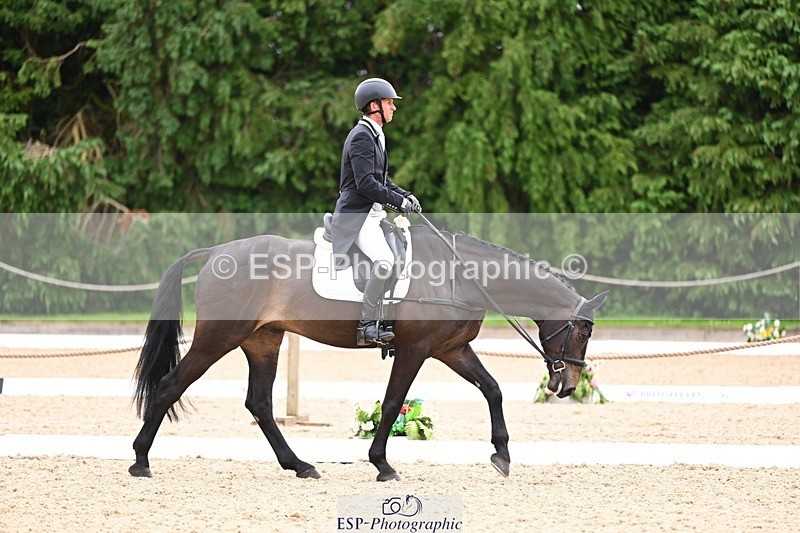 240524-093909-07939 - 507-DASSETT_ROCK_STAR-Tom_D_Crisp