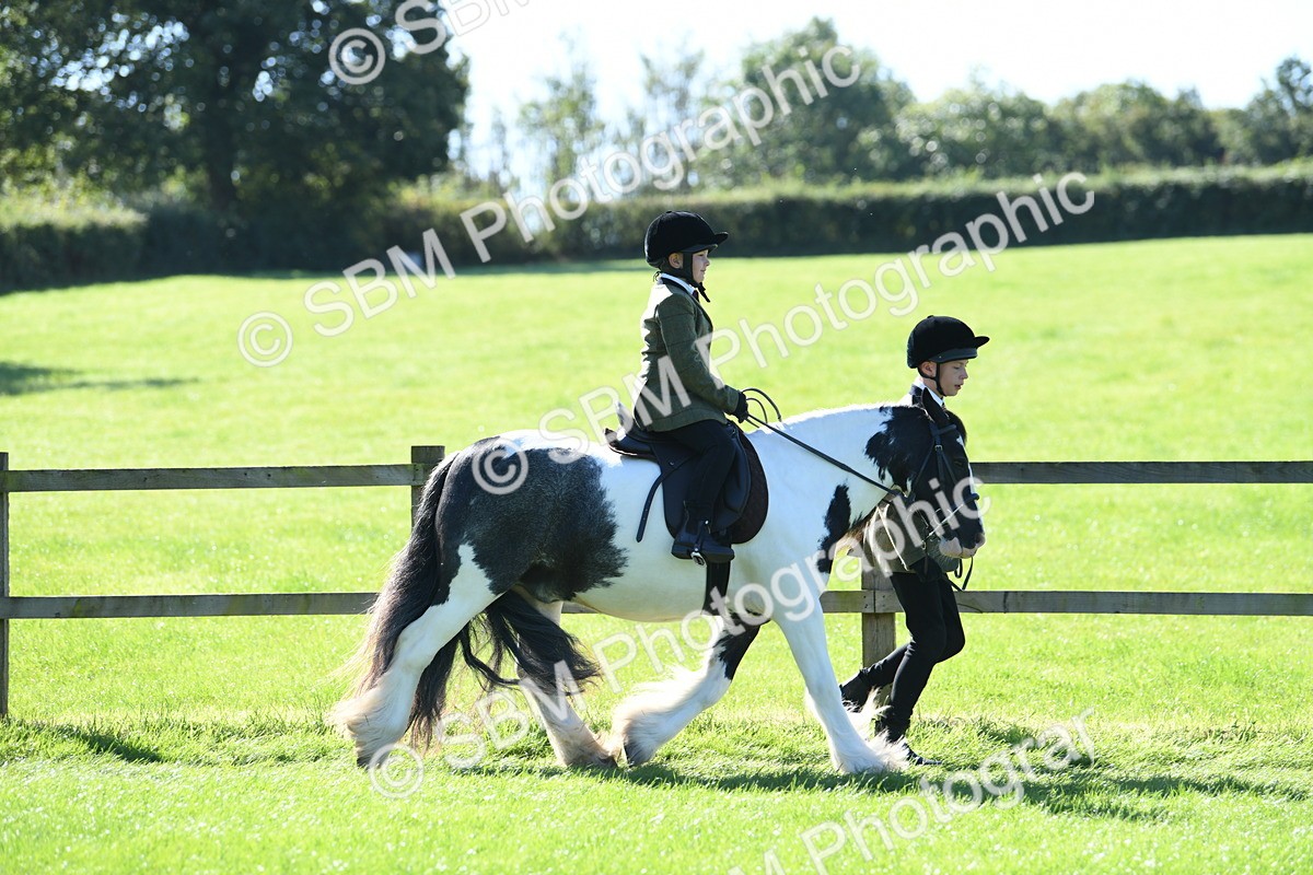 SBM_39565 - S18 - Novice & Newcomers Lead Rein Pony