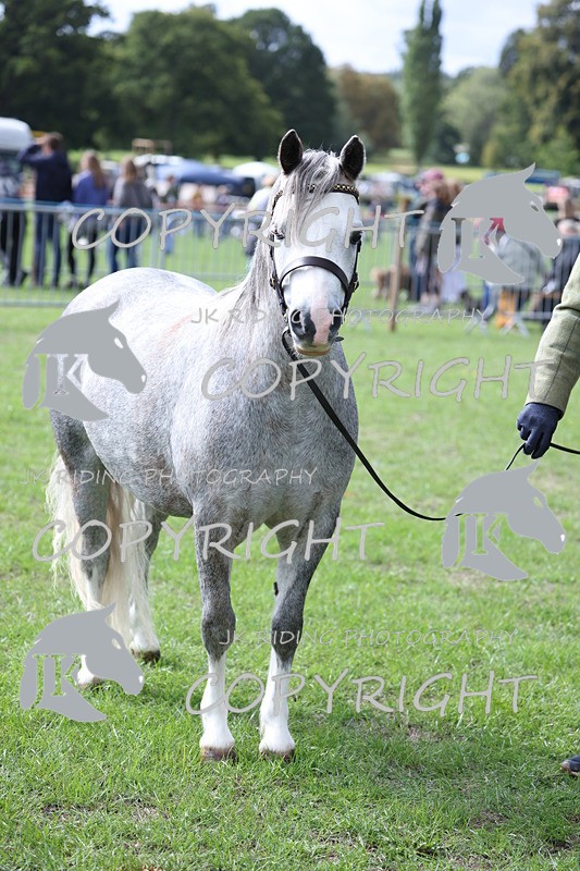 APP_2941 - Class 10a/b M&M in hand