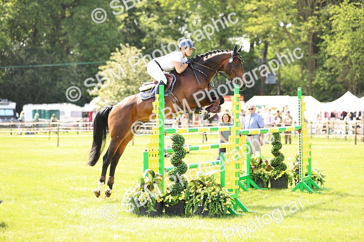 SBM_03021 - Class 201 - British Horse Feedds Speedi Beet HOYS Grade C