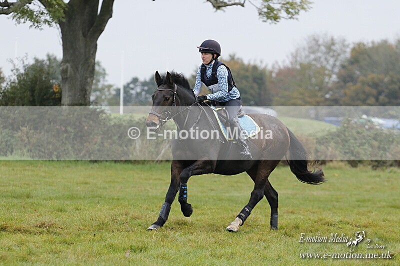 WWHT 181020 WWHT 181020 460 - WWEC Open Novice (0.80m) 18/10/20