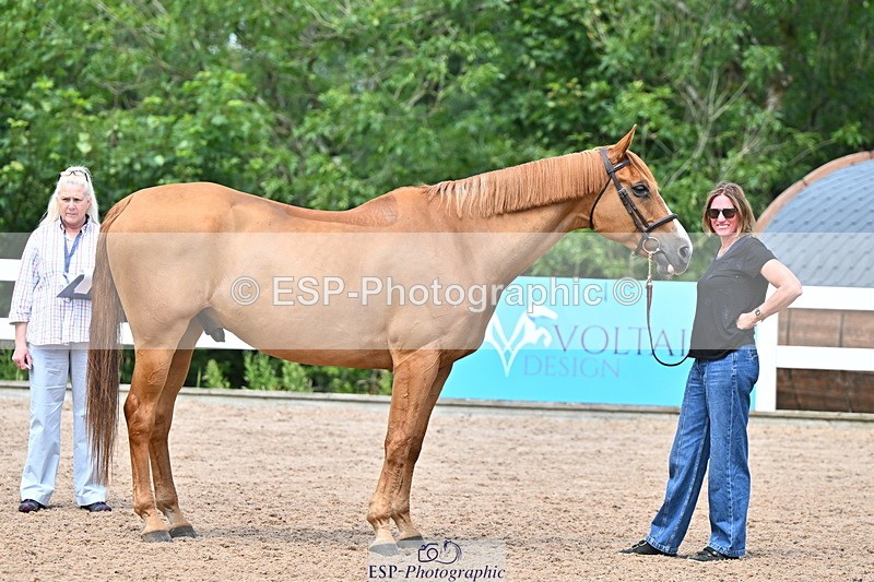 240718A-105320-01872 - Trot Up 1pm to 2pm