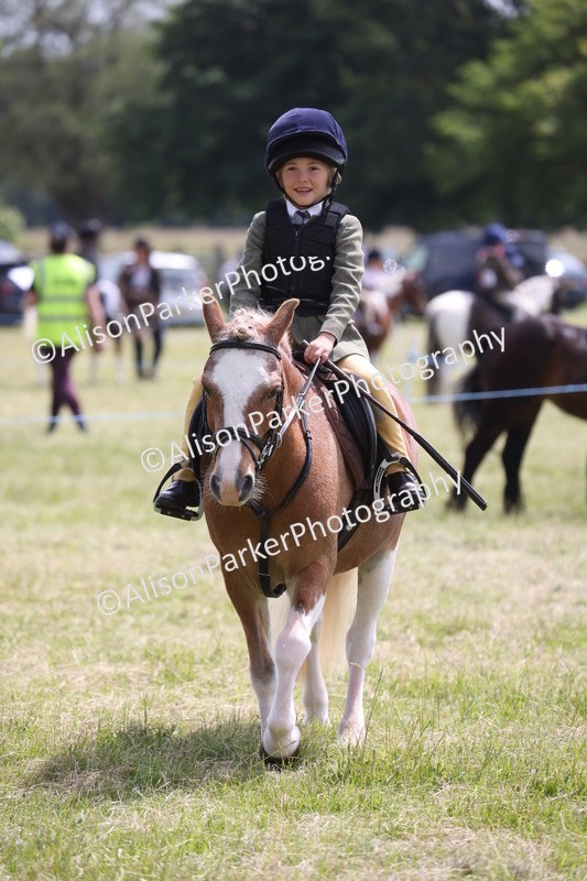20260614-2024 - Class 21 - Novice Working Hunter Pony