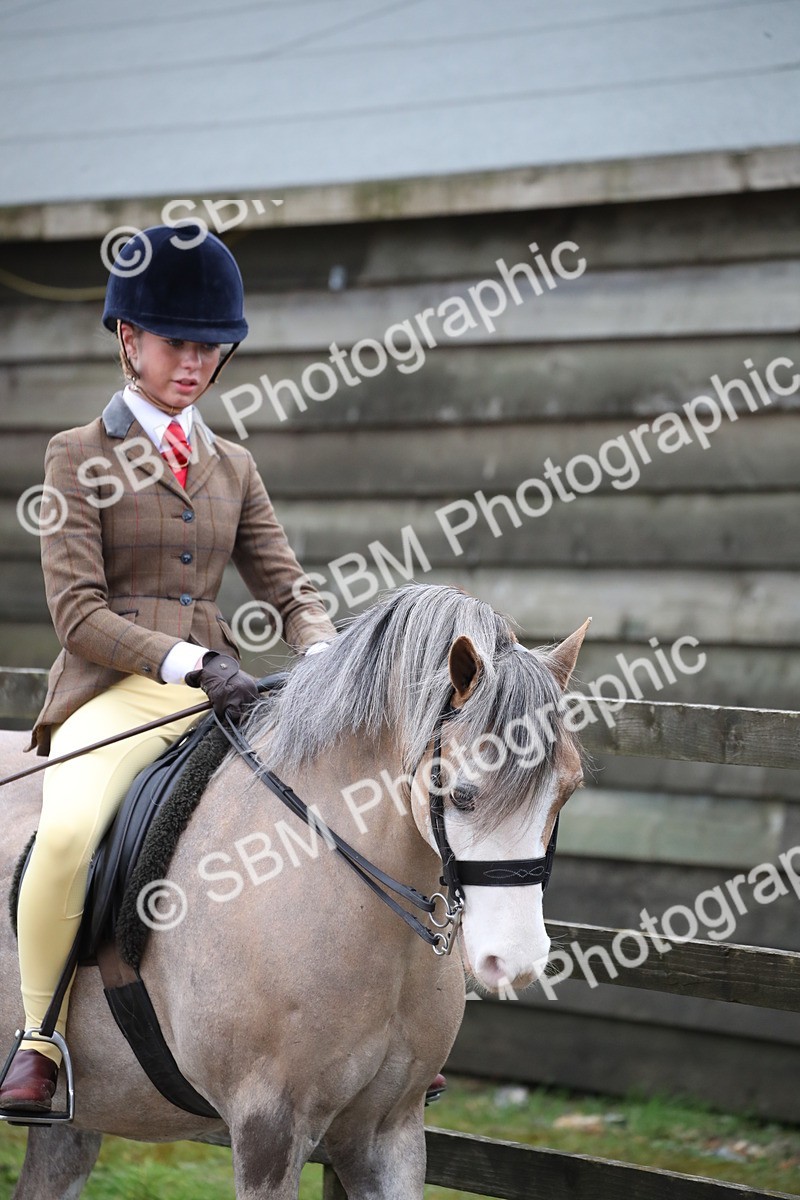 SBM_005884 - Class 10-13 - RIHS Small Large Breeds