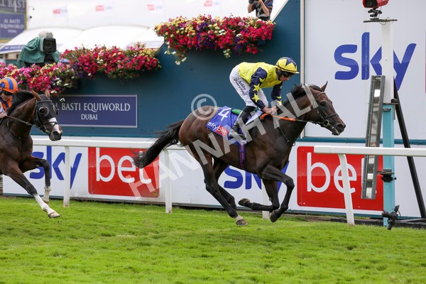 240824-Race 2-Tabletalk-8949 - Race 2 2.25pm Sky Bet Melrose Handicap