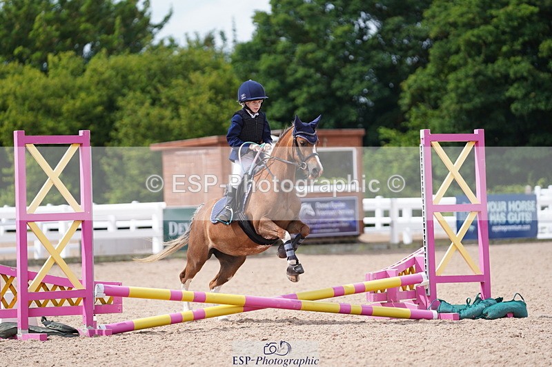 240809A-113810-00798 - Showjumping Competition
