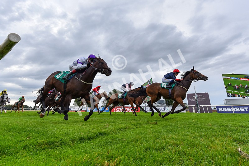 060925-Race 5-Eternal Sunshine-1240 - Race 5