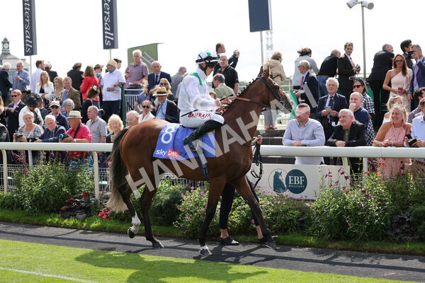 yr18082021r3-31 - Race 3 3.00pm Sky Bet Great Voltigeur Stakes