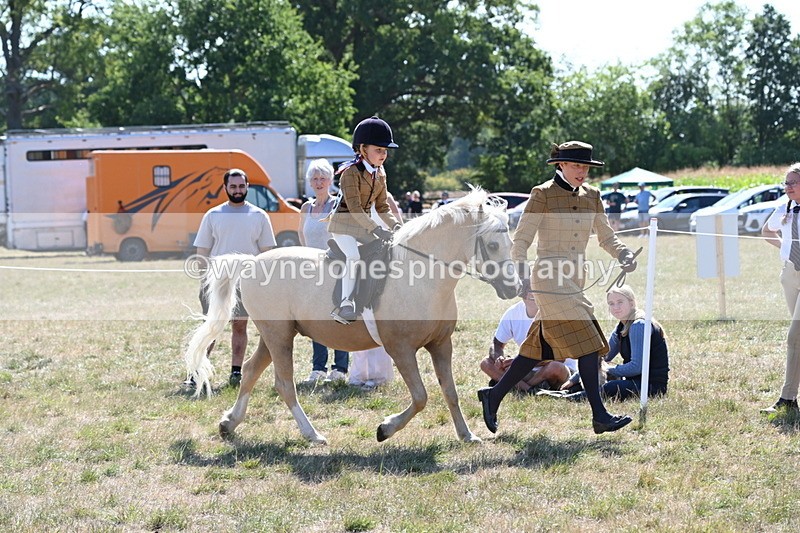 WJ6_7752 - Class 36 Lead Rein