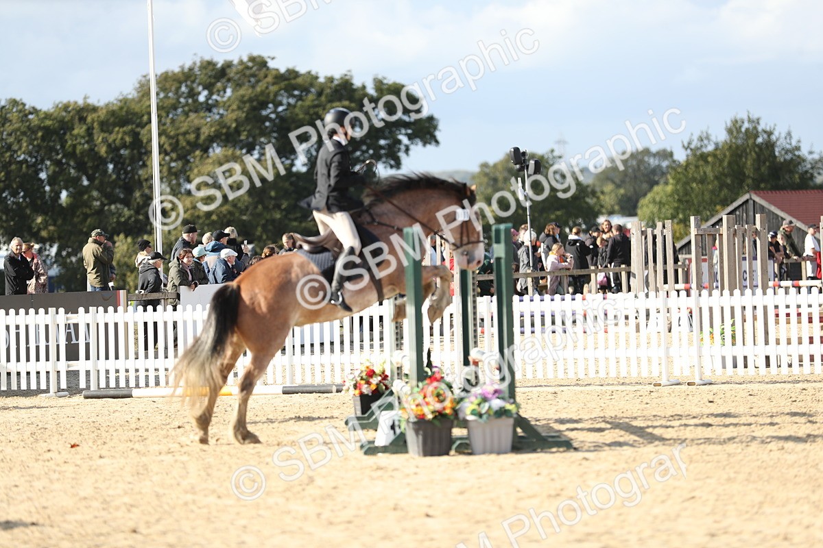 SBM_49597 - J22 - Junior Horse 65cm Championship