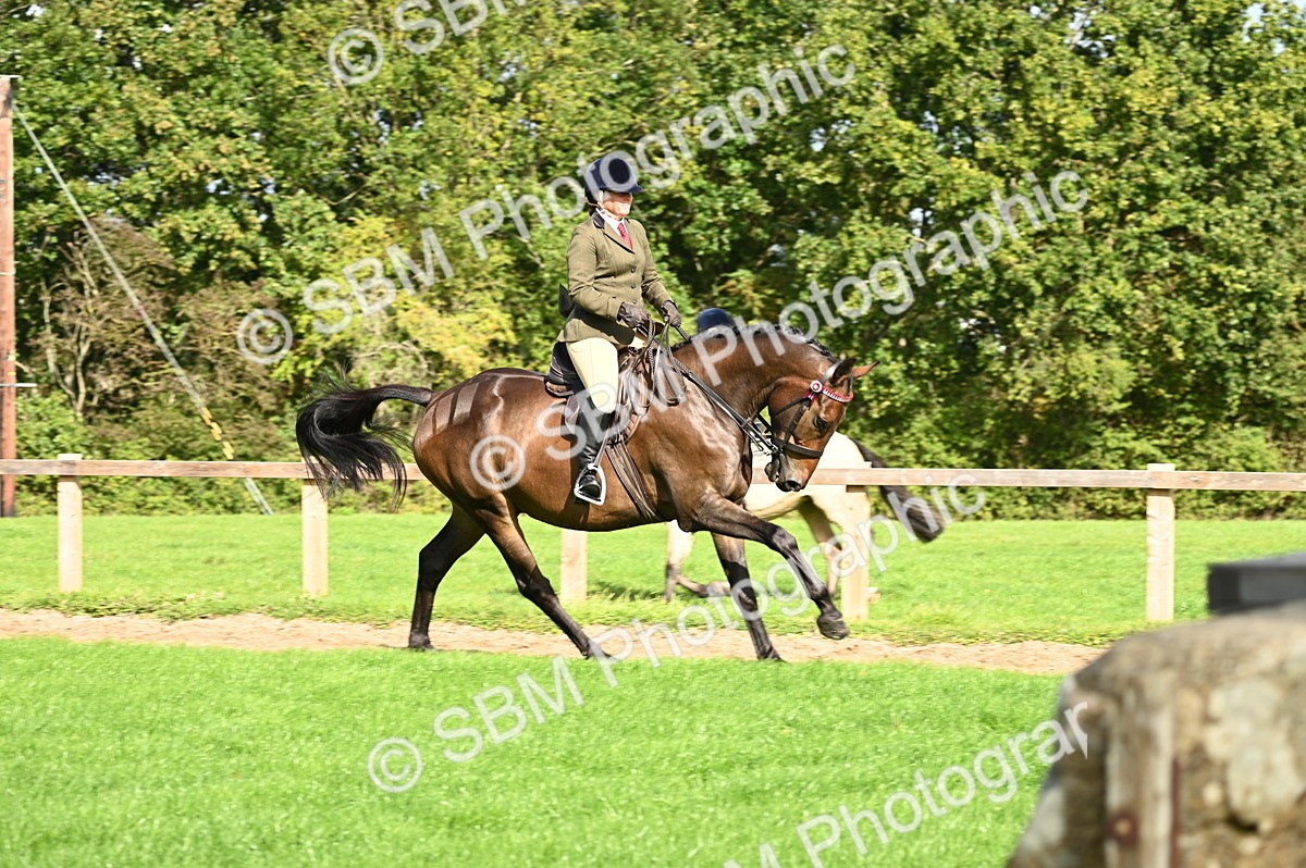 SBM_01787 - S2 - TSR Ridden Horse Showing