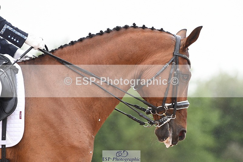 230630A-132504-02666 - Cls 16+17 Advanced 101+105