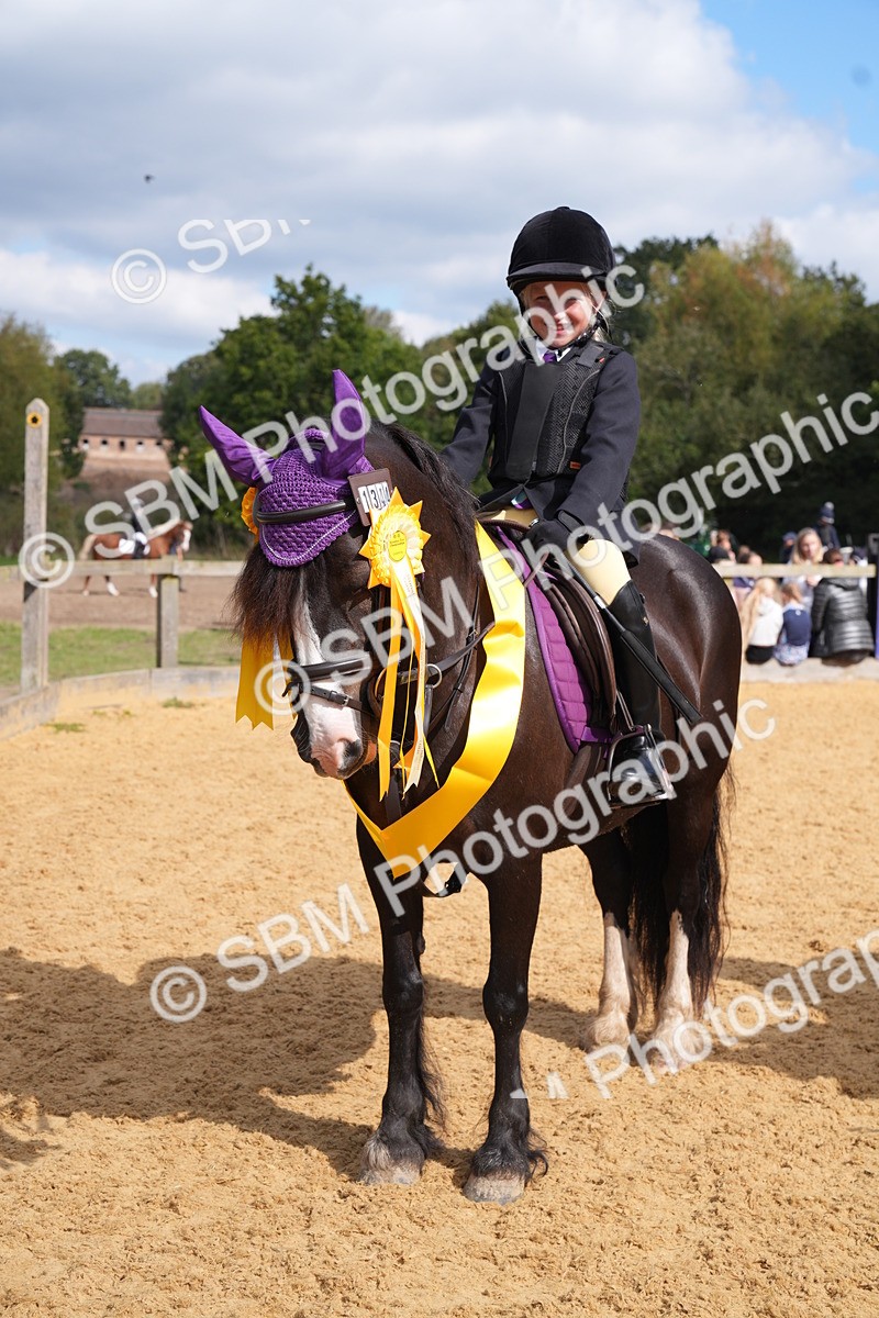 SBM_64516 - J2 - Mini Tour Junior Pony 30cm Championship