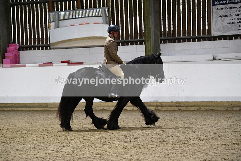 WJ5_8611 - Class 14 Novice Ridden/Rider