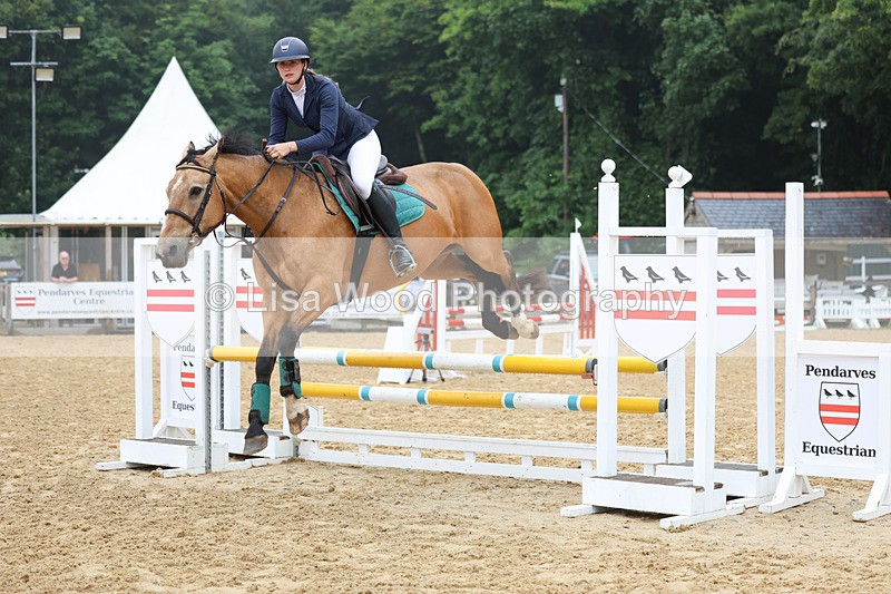 3E7A5275 - Class 4: Senior British Novice/90cm open