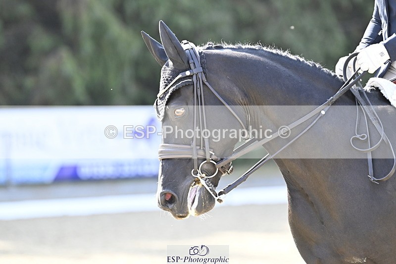 250810A-095901-04741 - 064-Amy.CoxPretty.Picture