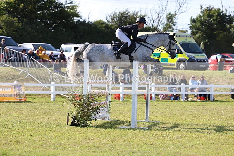 3E7A4484 - Class C: Showjumping Senior Foxhunter