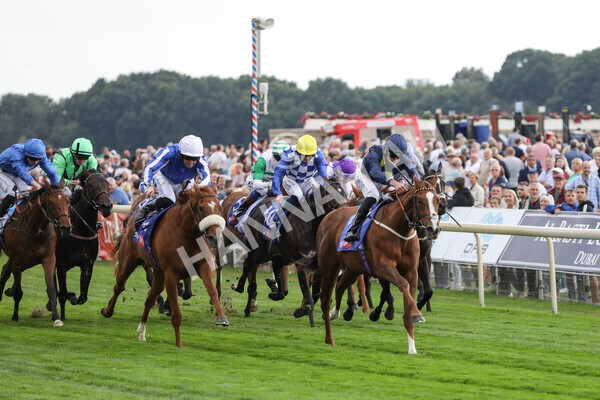yr18082022r1-15 - Race 1 1.50pm Sky Bet Lowther Stakes