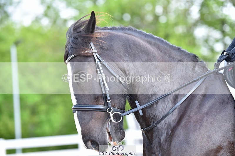 230511A-100706-00204 - BD Cls 2 Prelim 17A